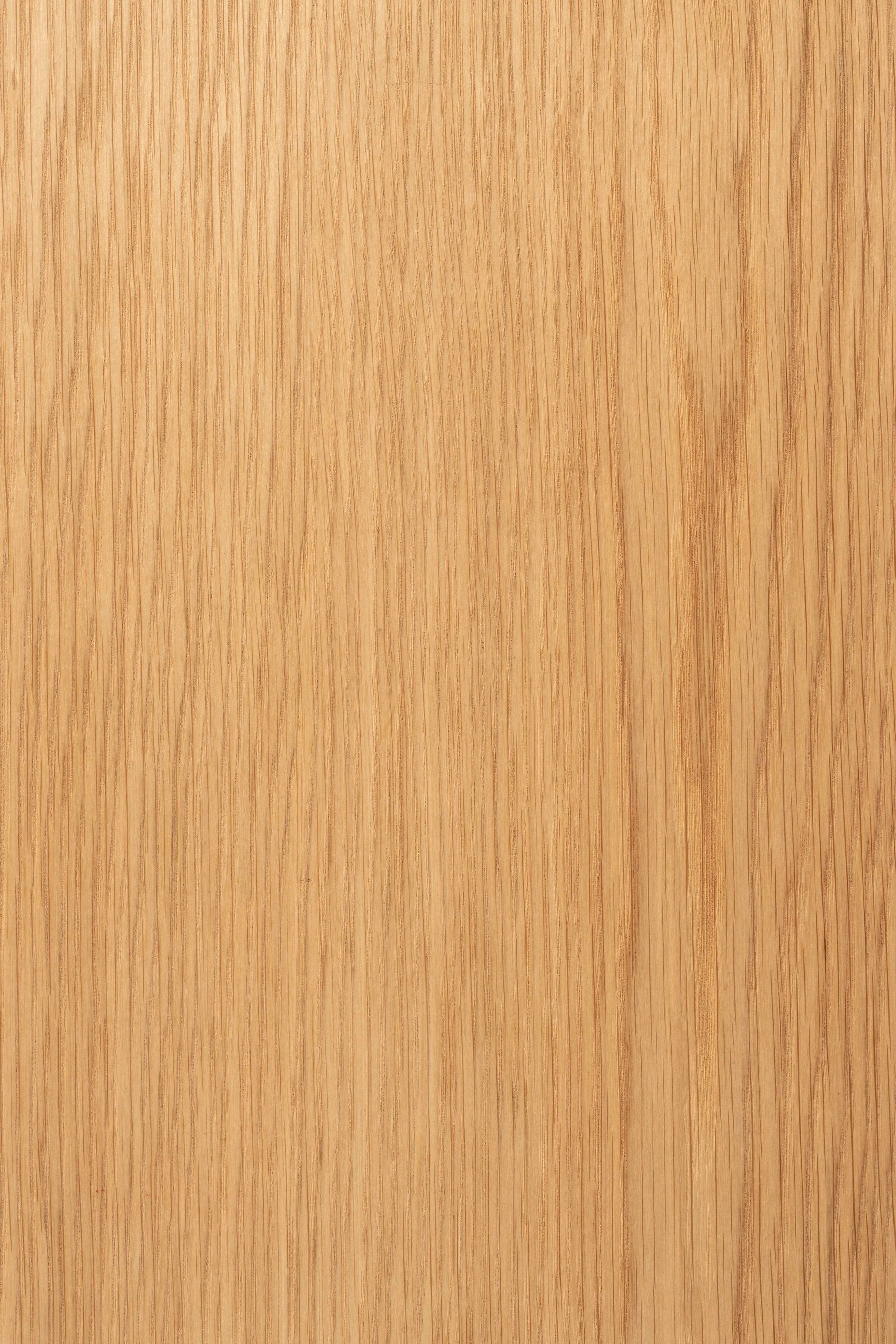 Bench Brave - Image 6
