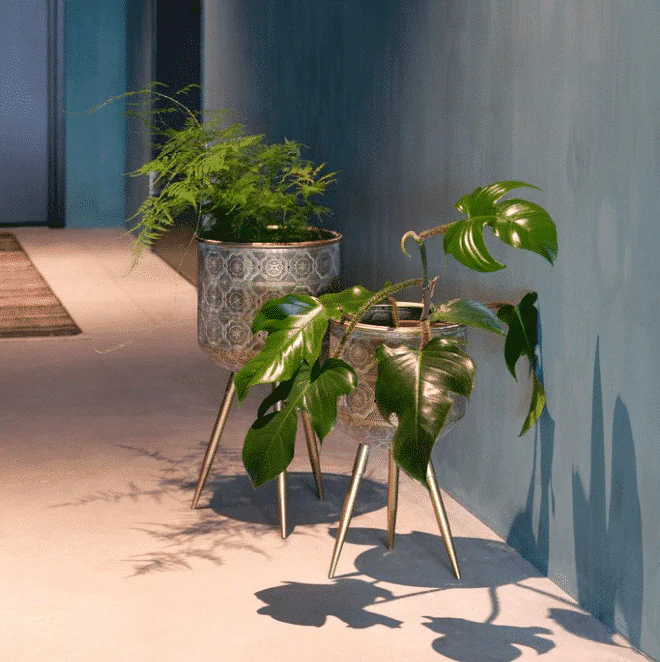 Botanique Medium Plant Stand - Image 5