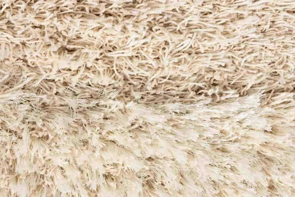 Carpet Curly 200X290 - Image 9