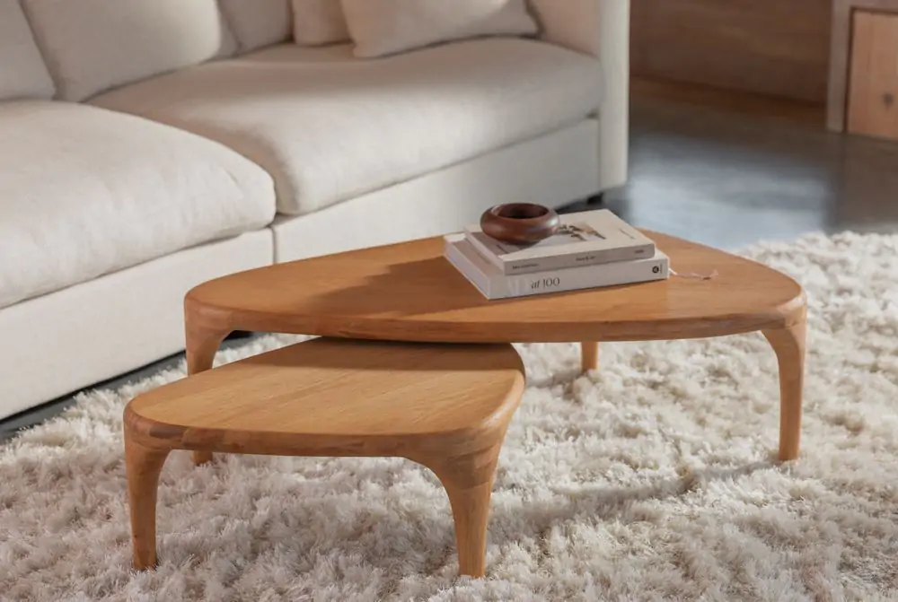 Coffee Table Isla Set of 2 Natural - Image 4