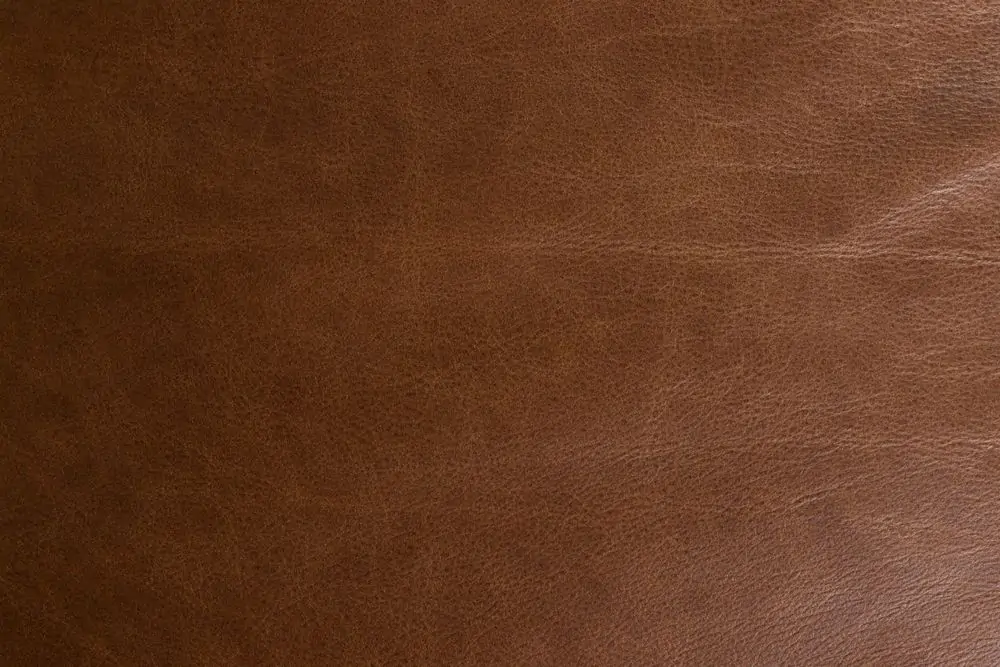 Sofa Douglas Wax Leather Chocolate - Image 8